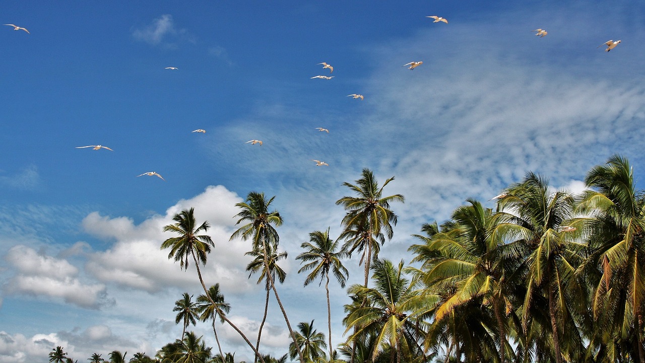 Negombo - Kurunegala - Hiriwadunna - Sigiriya