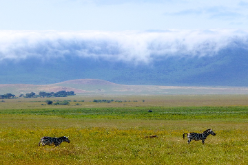 Serengeti - Ngorongoro - Karutu