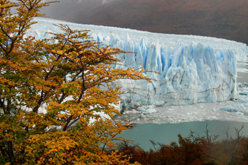 Perito Moreno Patagonie