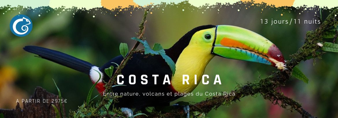 Entre nature, volcans et plages du Costa Rica